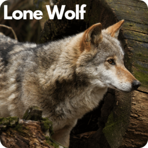 lone wolf