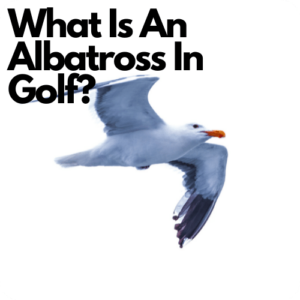 what is an albatross in golf