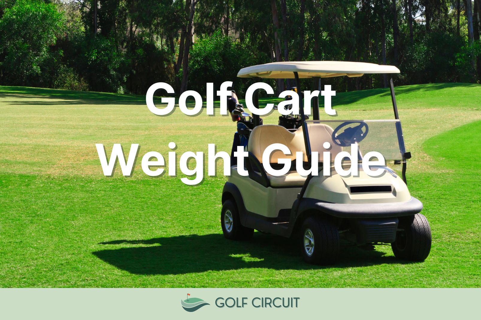 how much does a golf cart weigh