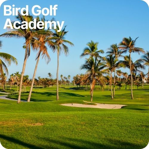 bird golf academy