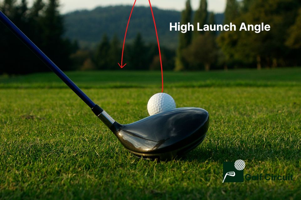 12 Degree driver with high launch angle