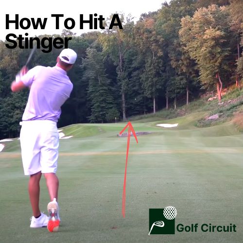 How To Hit A Stinger: 5 Simple Steps To Hit One