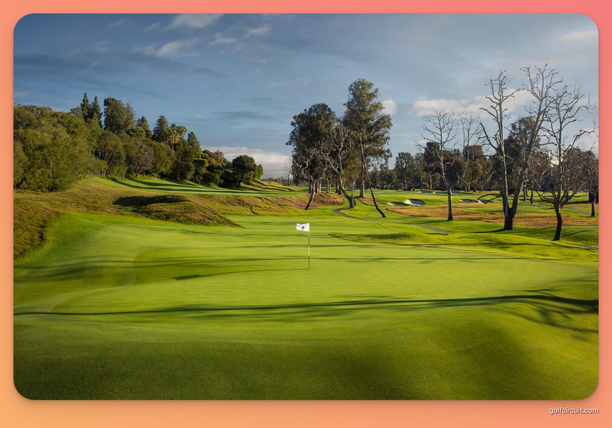 Riviera Golf Course Trees What Are They? (Explained) Golf Circuit