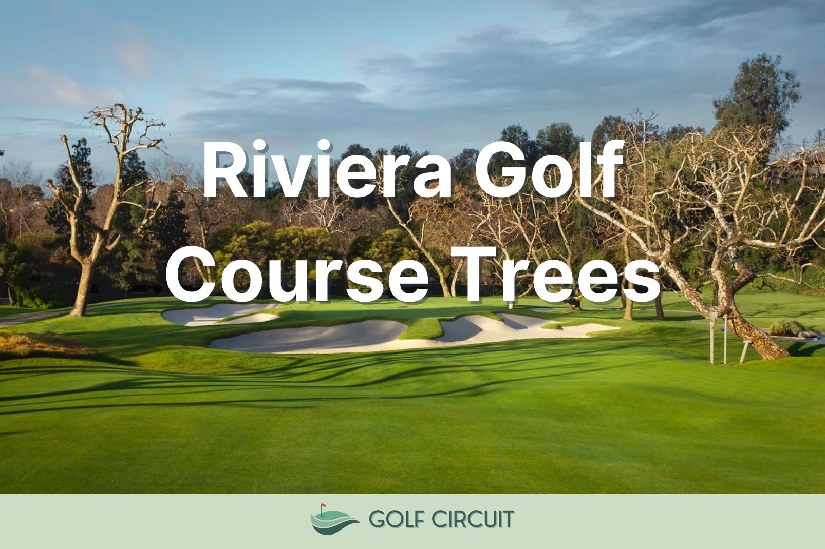 Riviera Golf Course Trees: What Are They? (Explained) - Golf Circuit