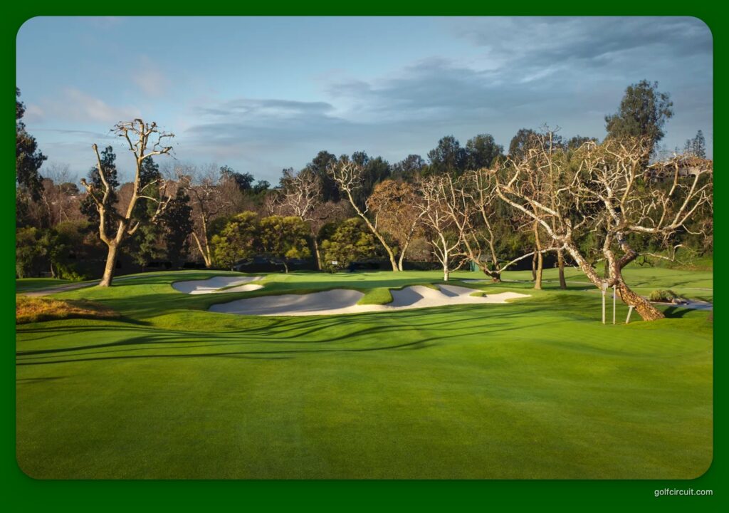 Riviera Golf Course Trees: What Are They? (Explained) - Golf Circuit