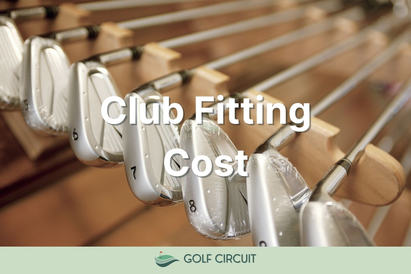 golf club fitting cost